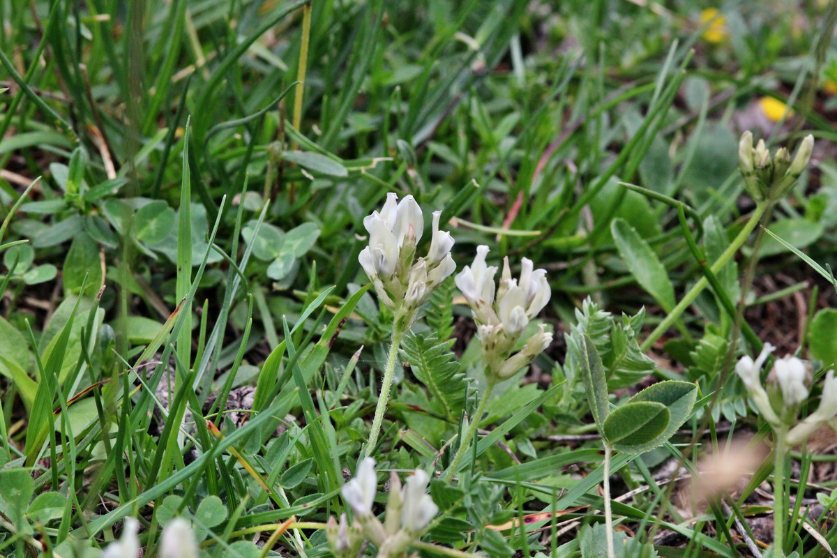 2014_07_25_00004438p_Bildgr��e �ndern