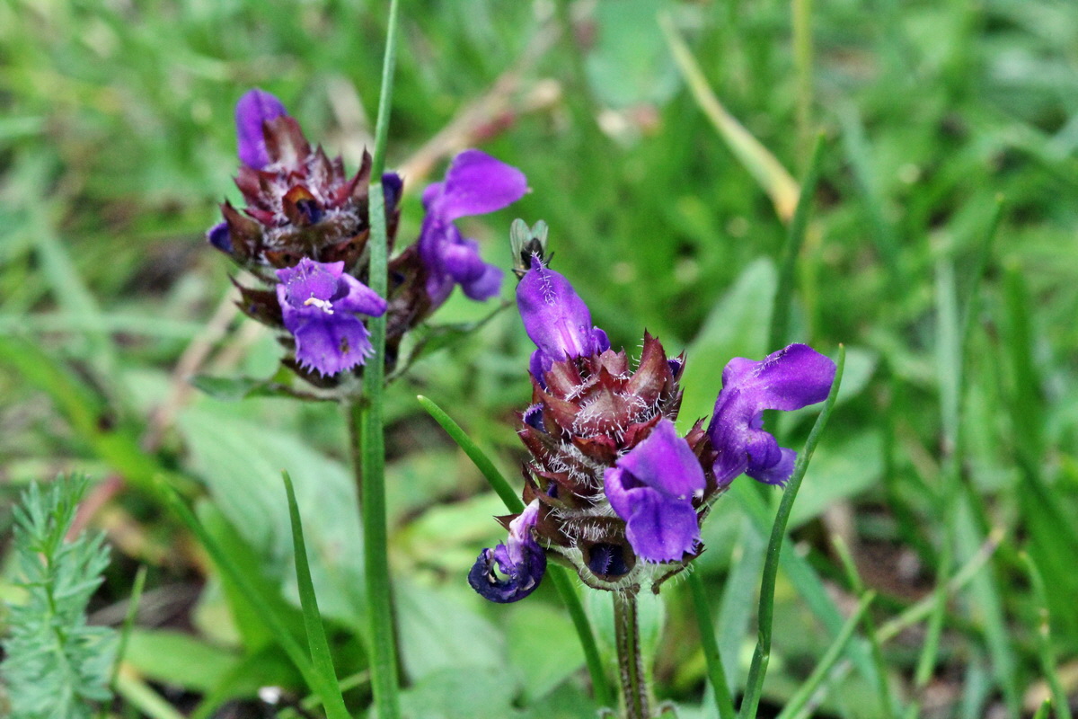 2014_07_25_00004442p_Bildgr��e �ndern