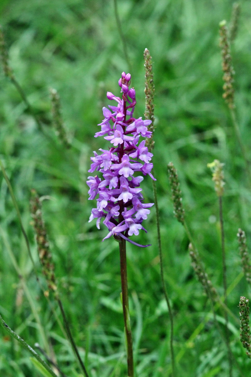 2014_07_25_00004444p_Bildgr��e �ndern