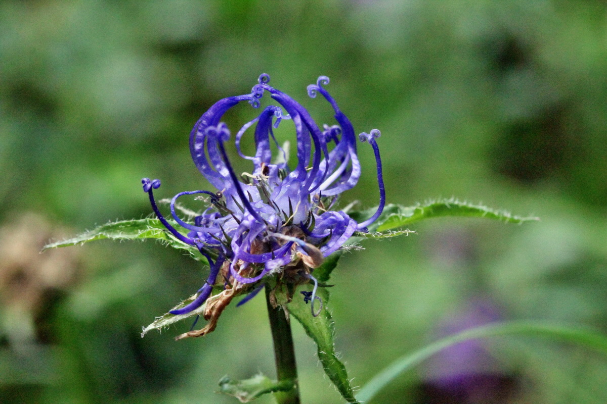 2014_07_25_00004446p_Bildgr��e �ndern