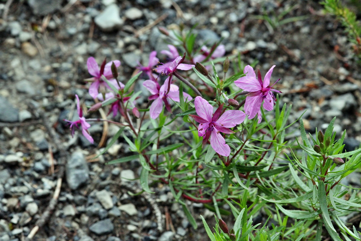 2014_07_25_00004452p_Bildgr��e �ndern