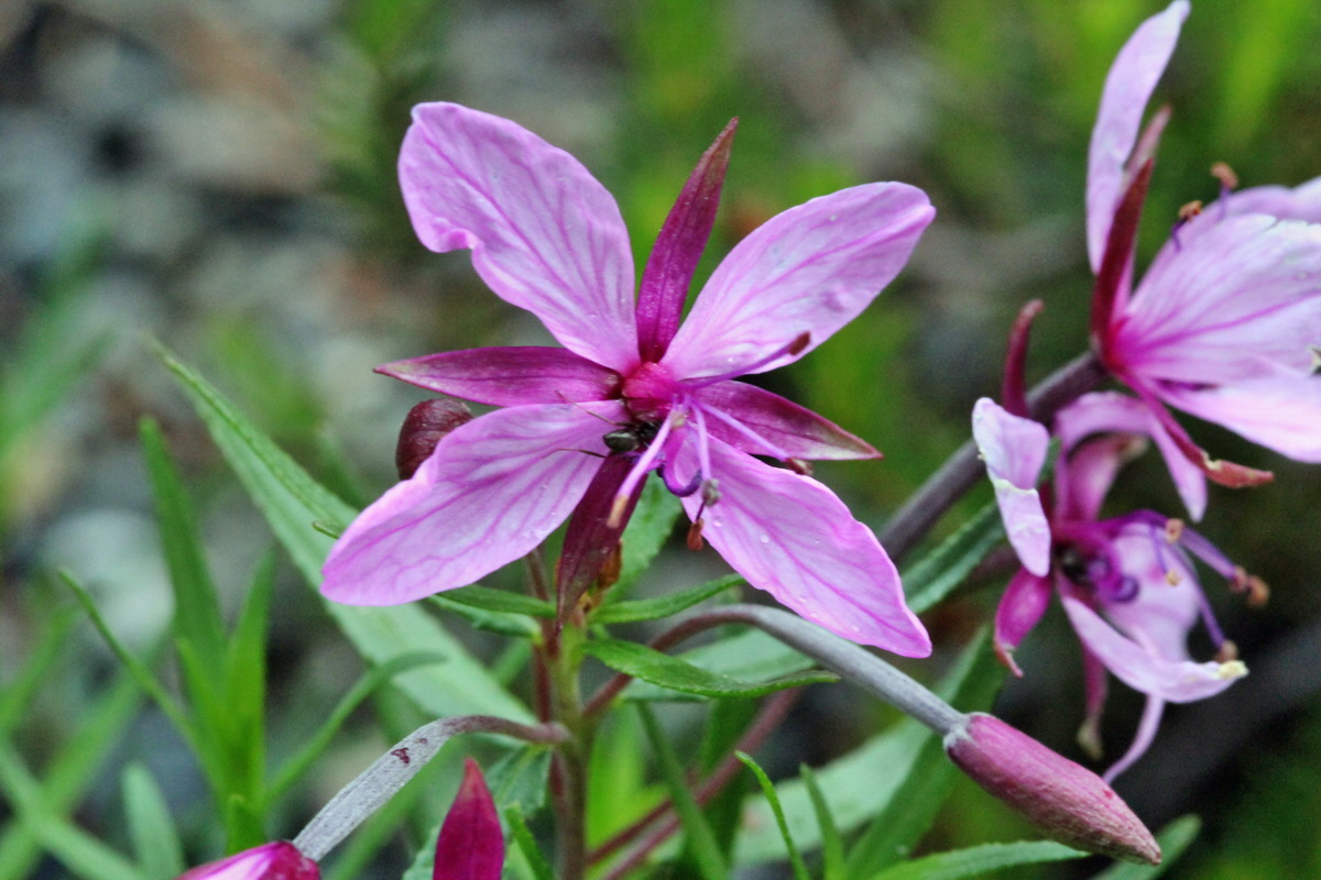 2014_07_25_00004455p_Bildgr��e �ndern