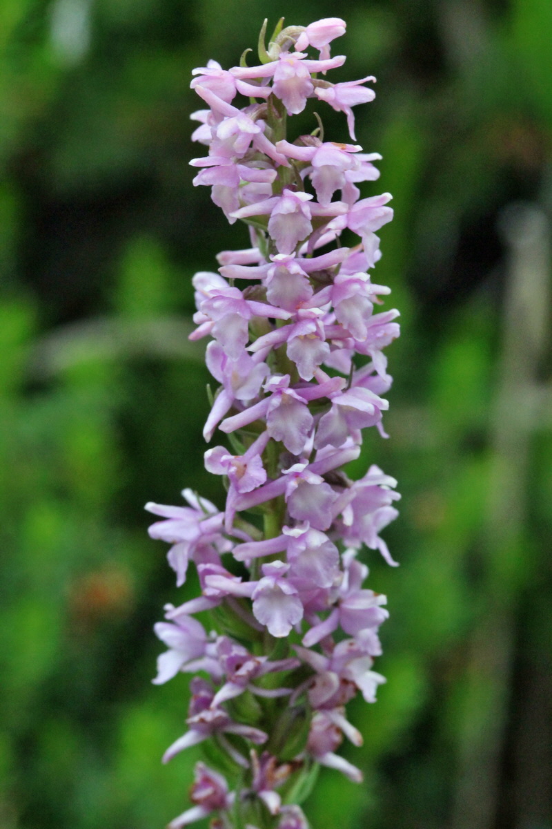 2014_07_25_00004458p_Bildgr��e �ndern