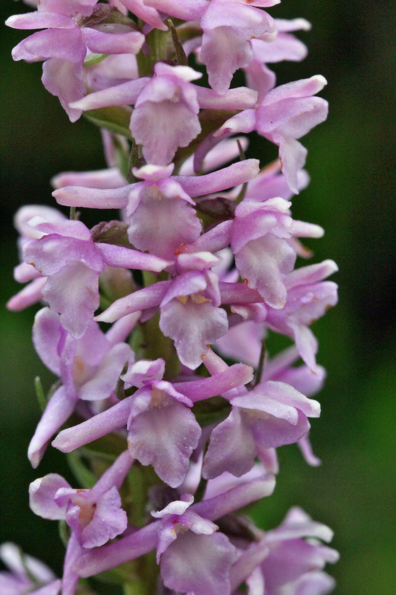 2014_07_25_00004459p_Bildgr��e �ndern