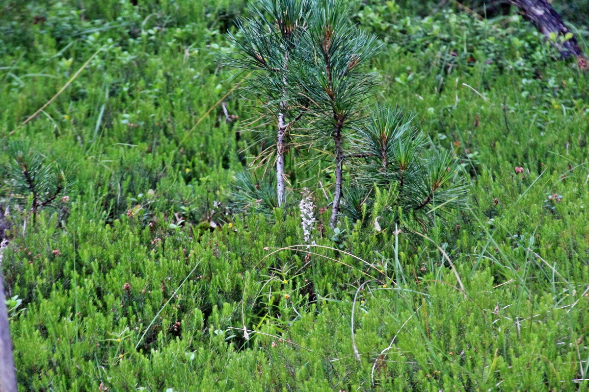 2014_07_25_00004465p_Bildgr��e �ndern