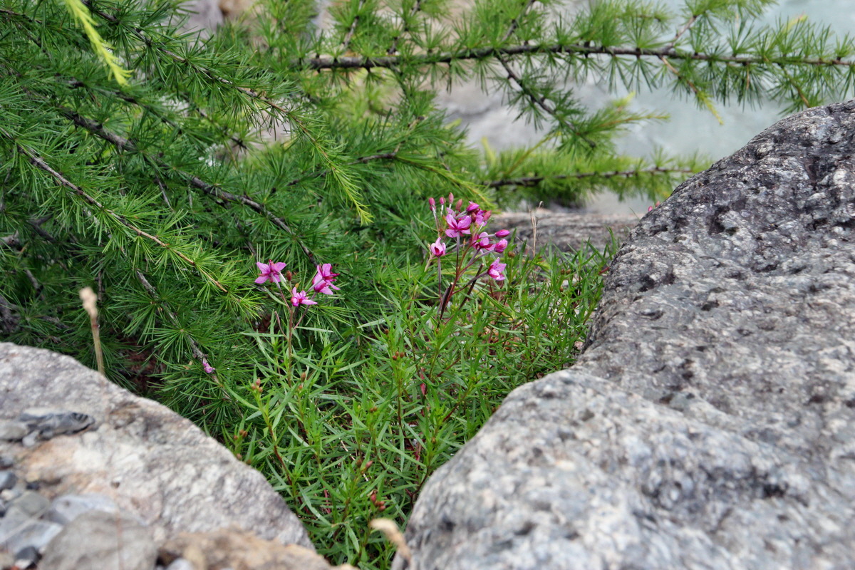 2014_07_25_00004495p_Bildgr��e �ndern