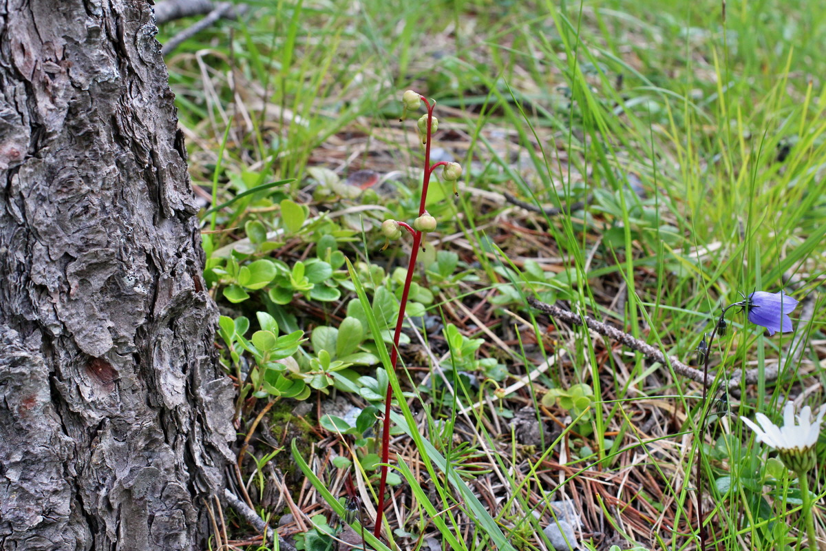 2014_07_25_00004502p_Bildgr��e �ndern