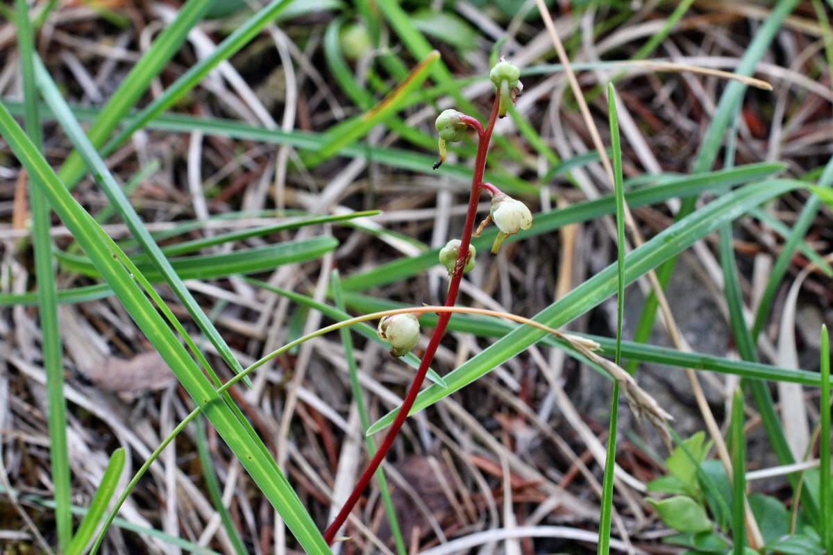 2014_07_25_00004506p_Bildgr��e �ndern