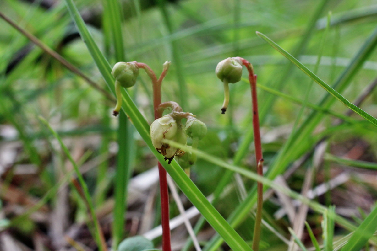 2014_07_25_00004512p_Bildgr��e �ndern