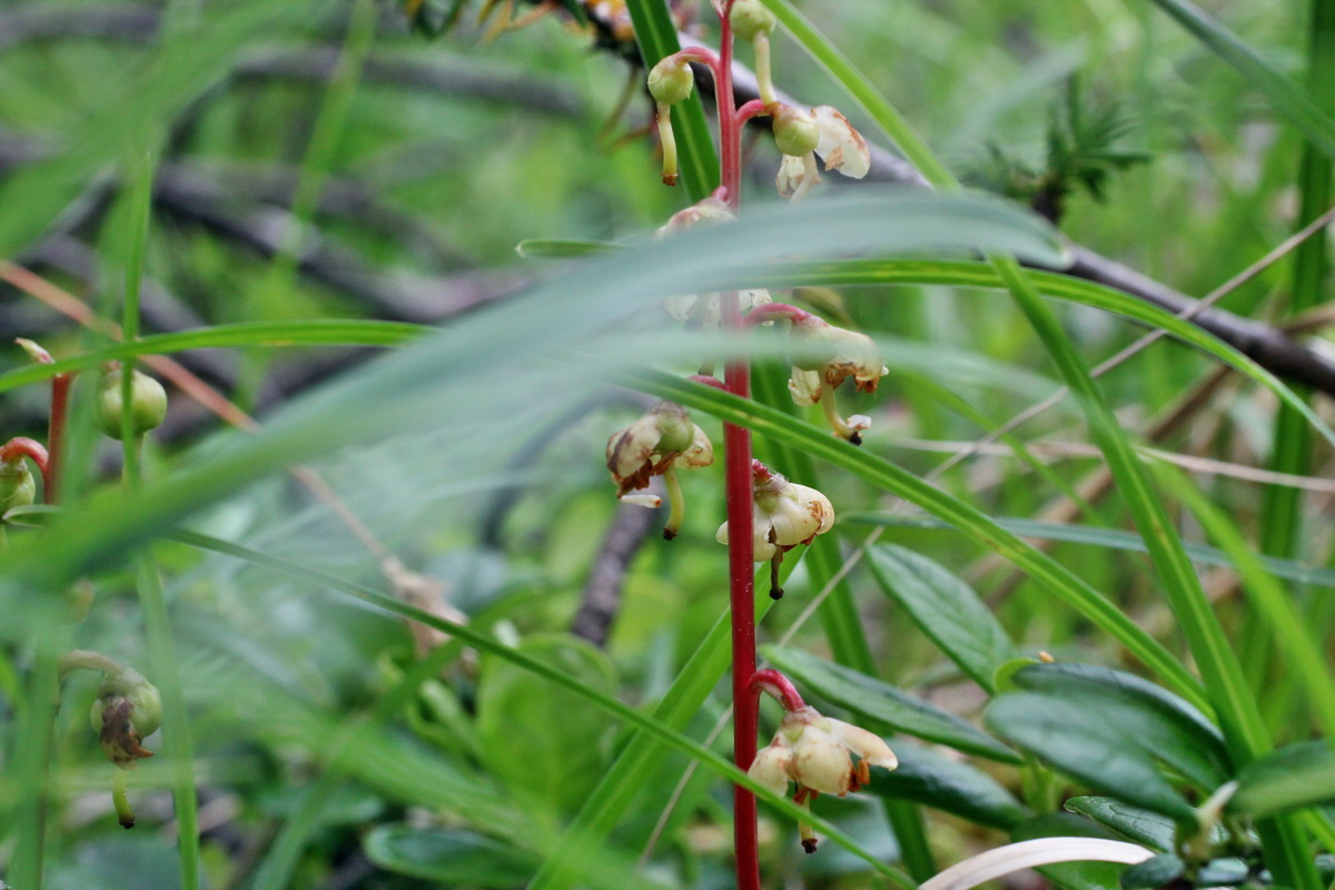 2014_07_25_00004515p_Bildgr��e �ndern