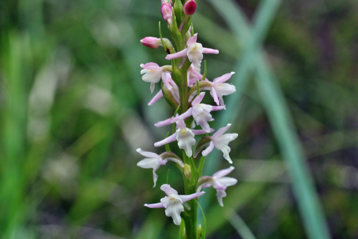 2014_07_25_00004518p_Bildgr��e �ndern