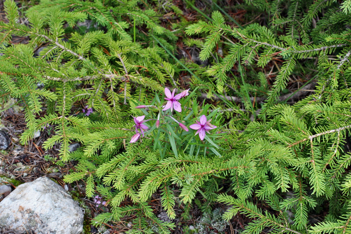 2014_07_25_00004530p_Bildgr��e �ndern