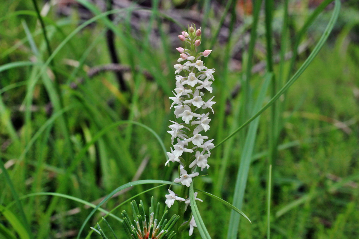 2014_07_25_00004532p_Bildgr��e �ndern