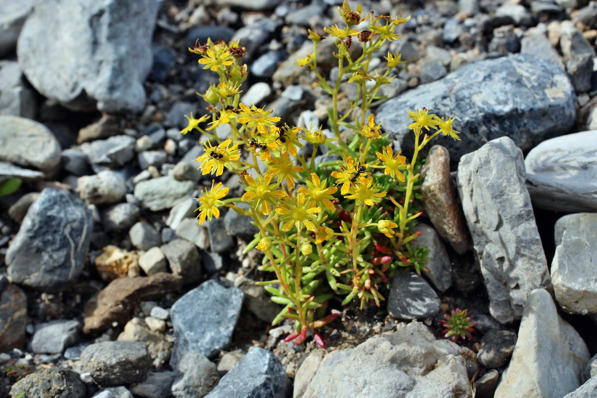 2014_07_25_00004542p_Bildgr��e �ndern