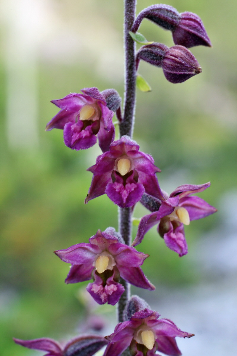 2014_07_25_00004568p_Bildgr��e �ndern