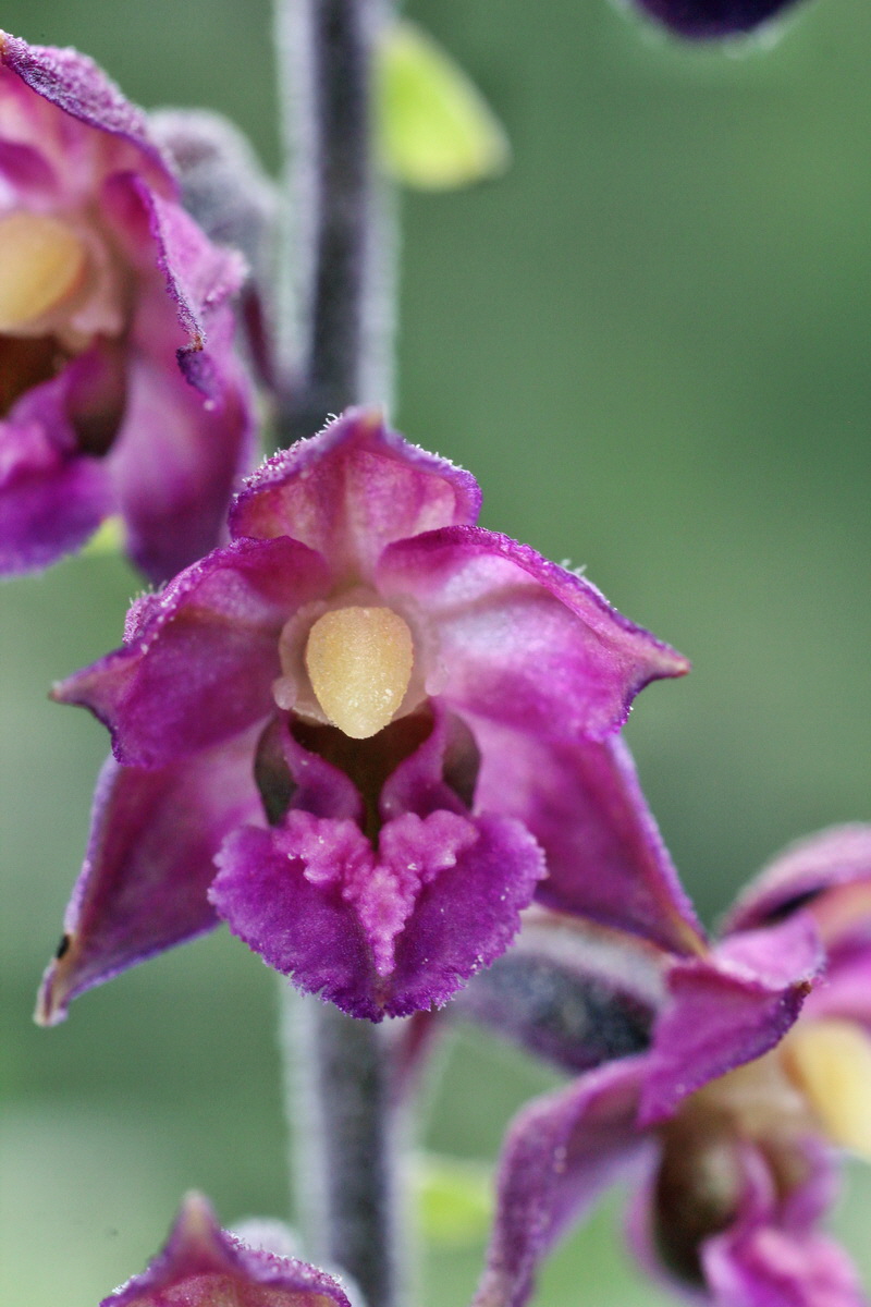 2014_07_25_00004572p_Bildgr��e �ndern