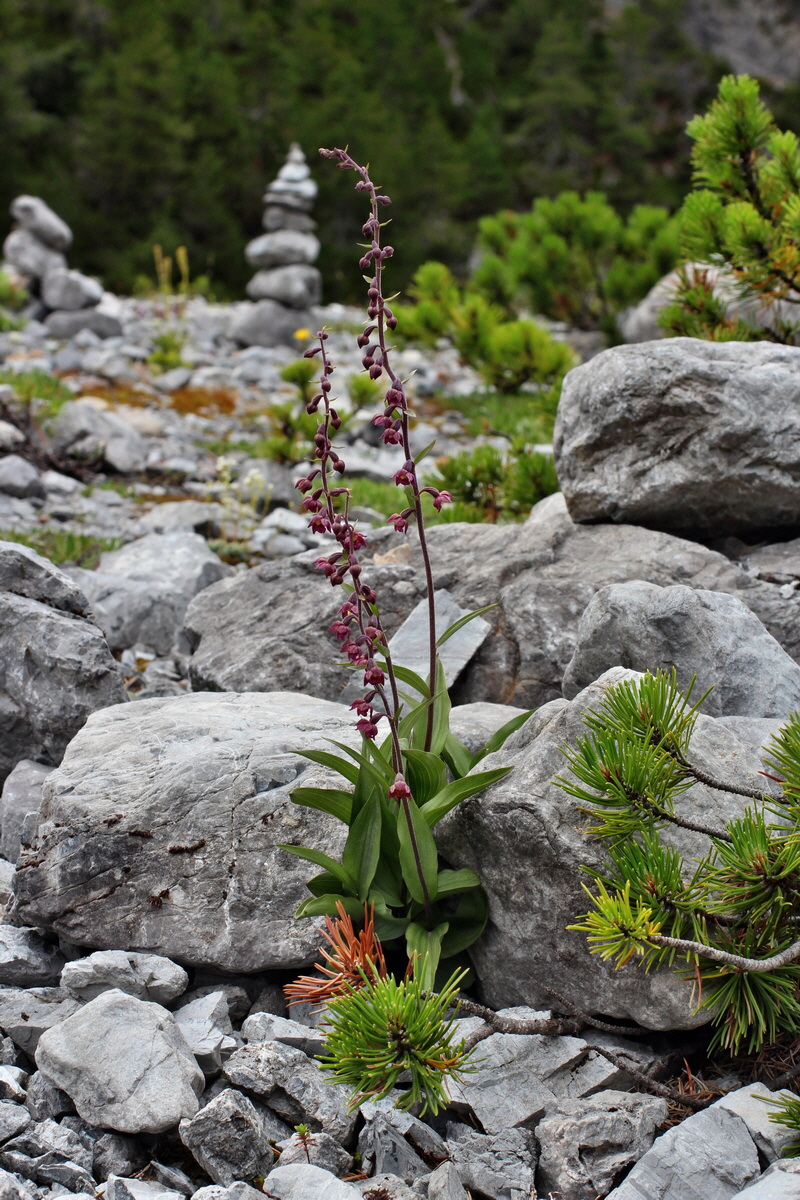 2014_07_25_00004599p_Bildgr��e �ndern