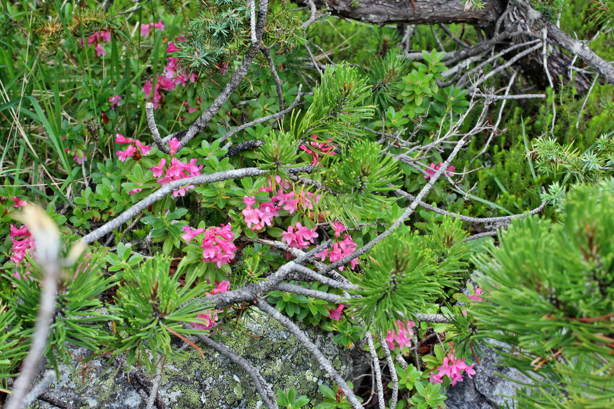 2014_07_25_00004603p_Bildgr��e �ndern