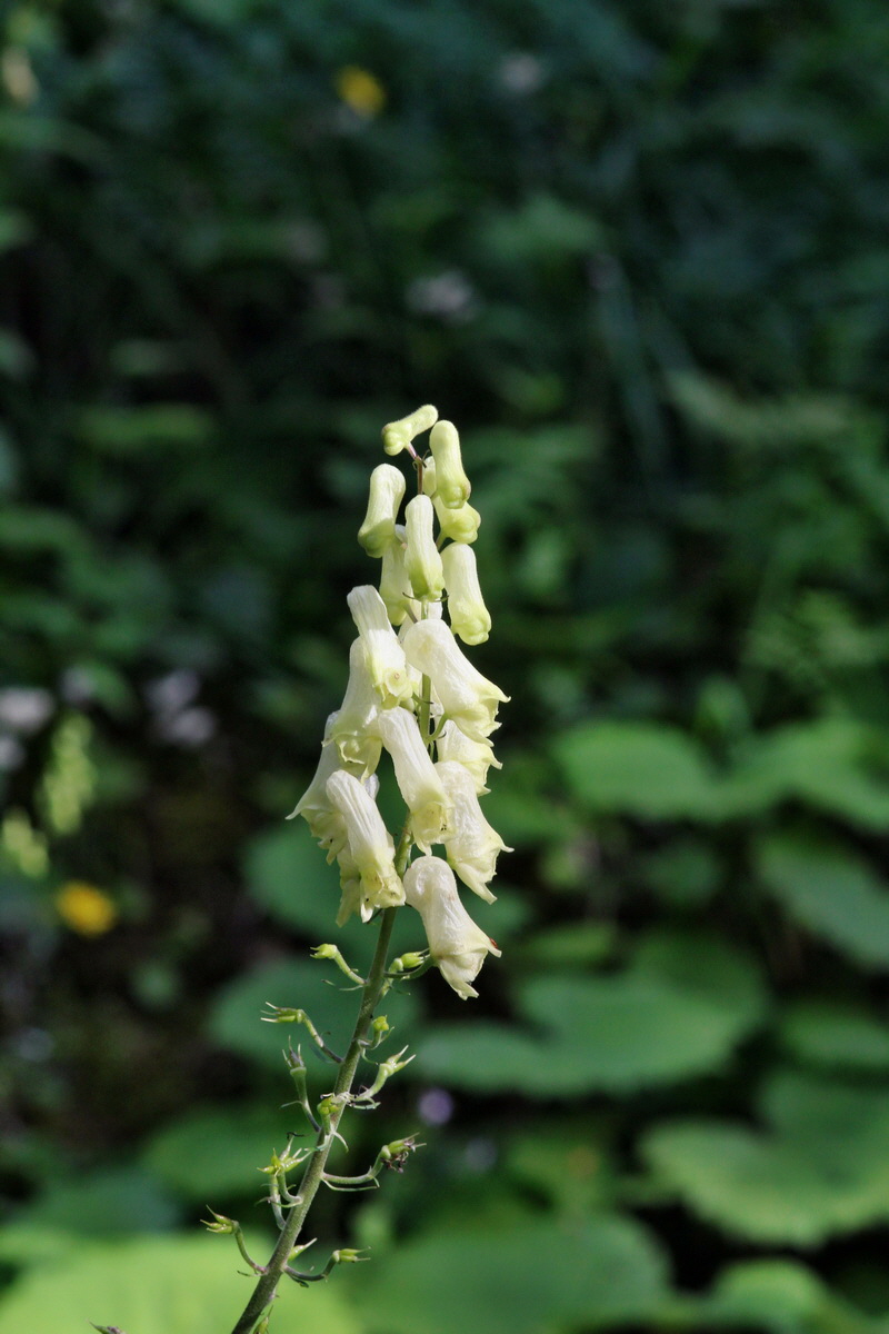 2014_07_25_00004626p_Bildgr��e �ndern