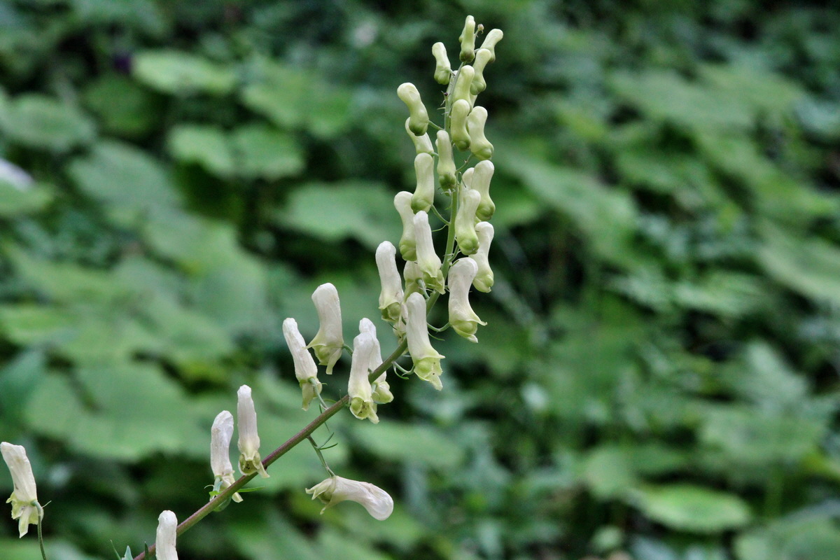 2014_07_25_00004629p_Bildgr��e �ndern