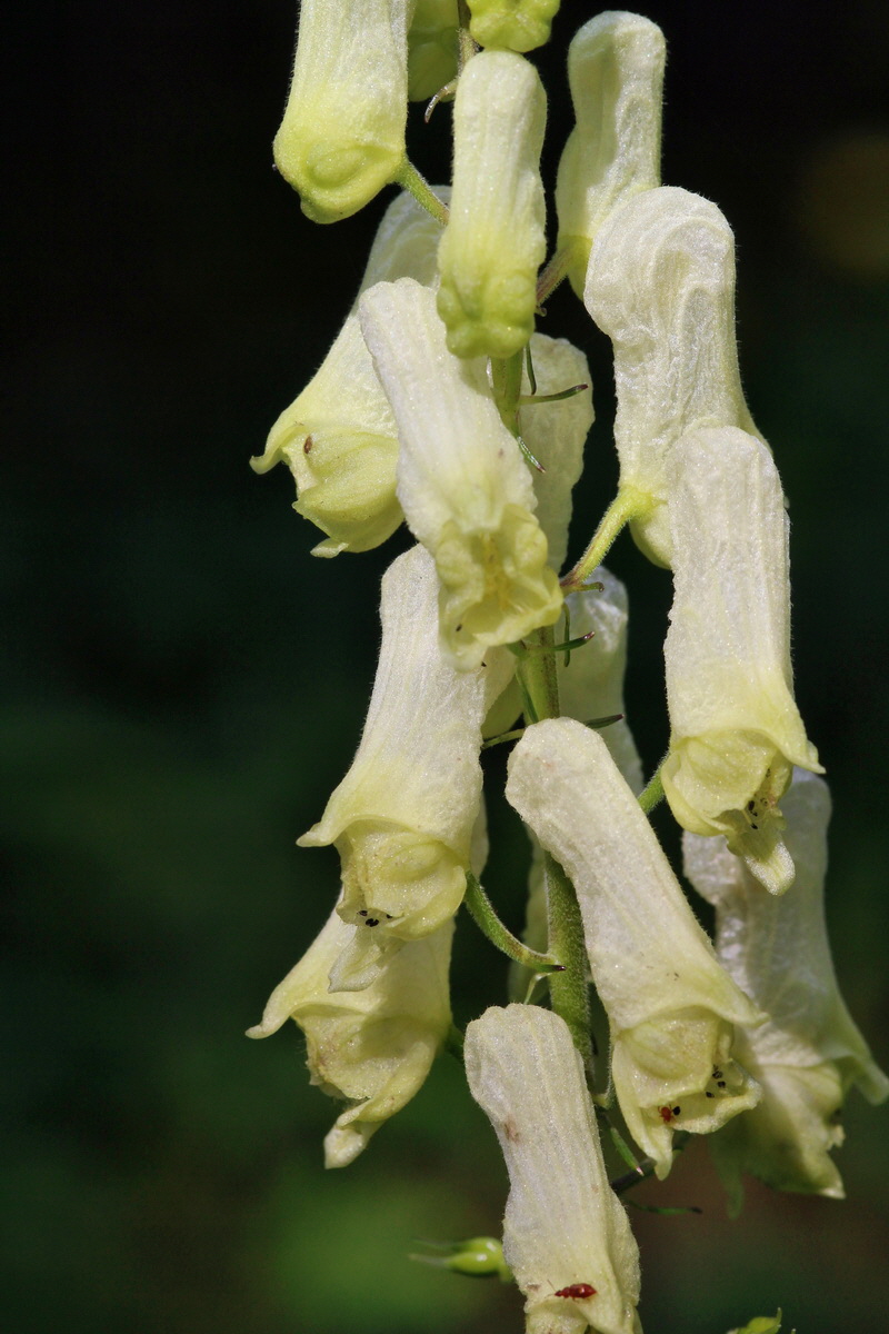 2014_07_25_00004630p_Bildgr��e �ndern