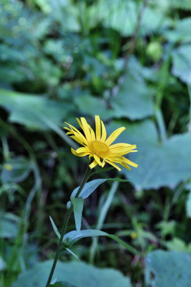 2014_07_25_00004634p_Bildgr��e �ndern