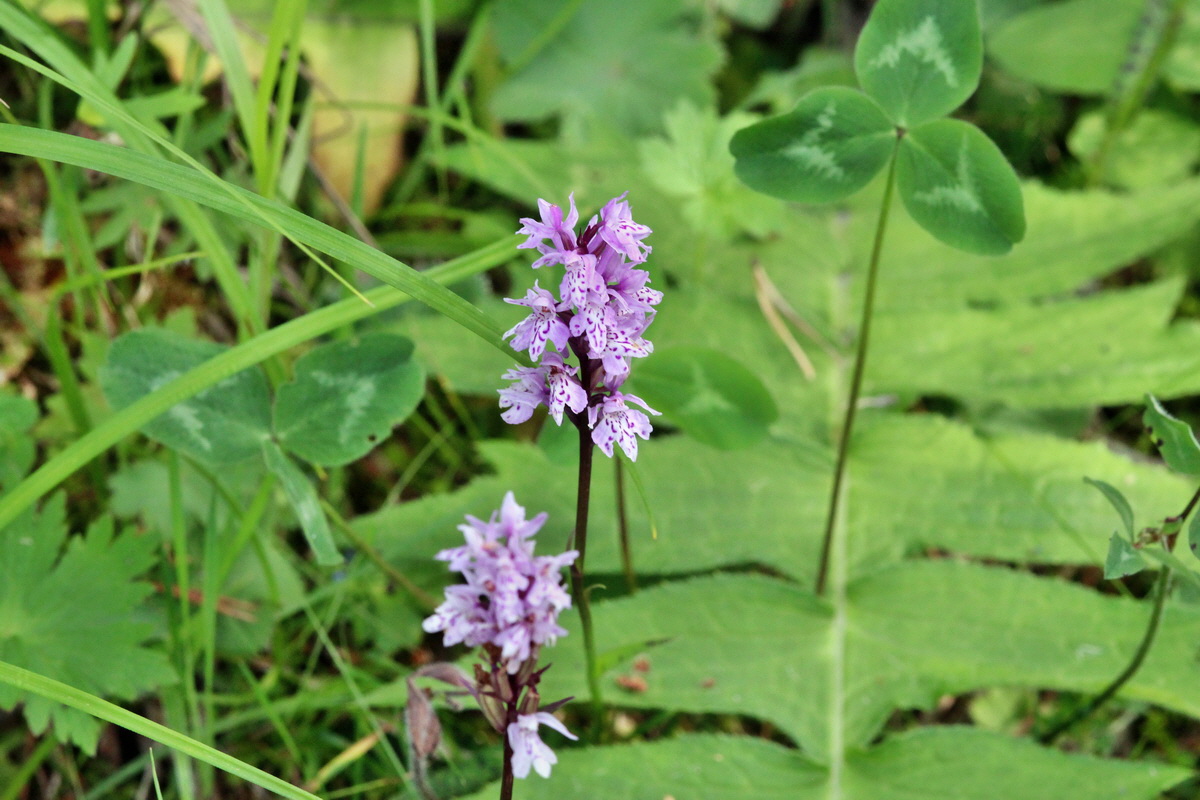 2014_07_25_00004642p_Bildgr��e �ndern