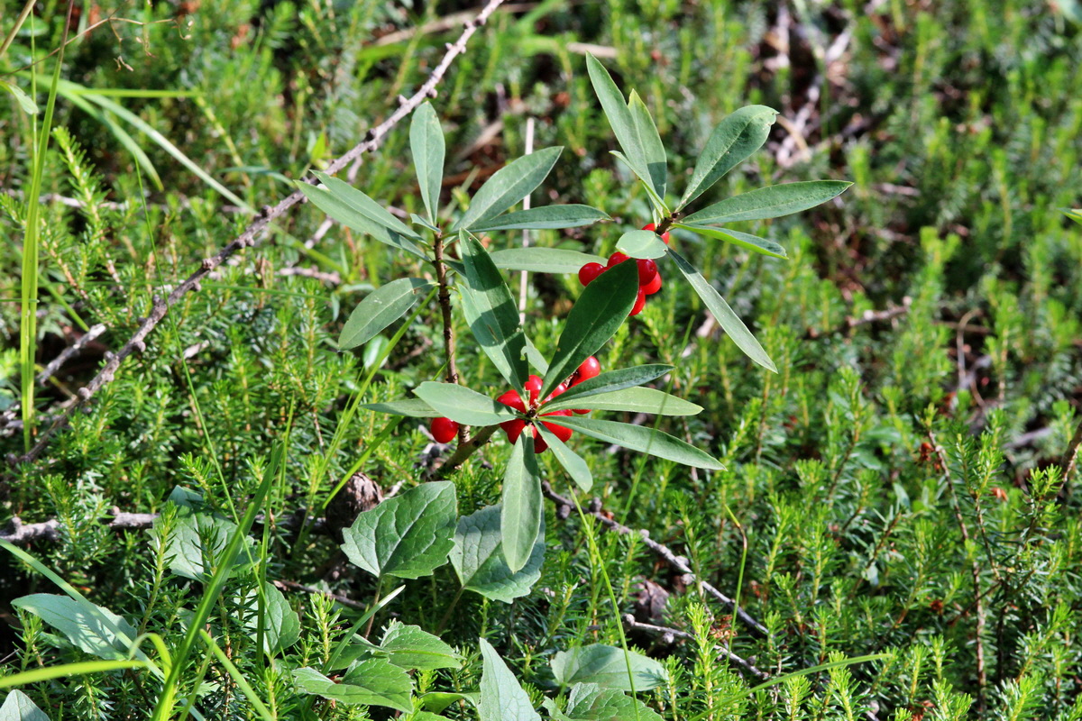 2014_07_25_00004644p_Bildgr��e �ndern