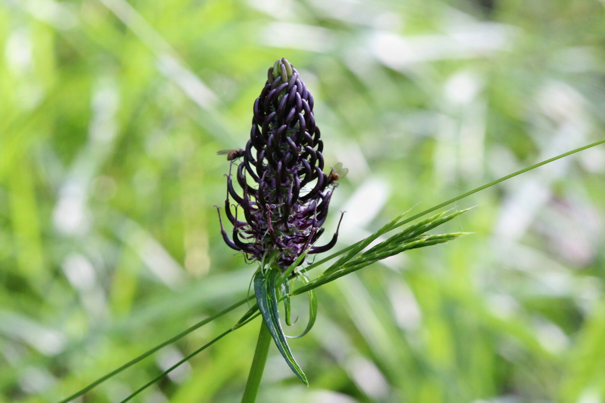 2014_07_25_00004647p_Bildgr��e �ndern