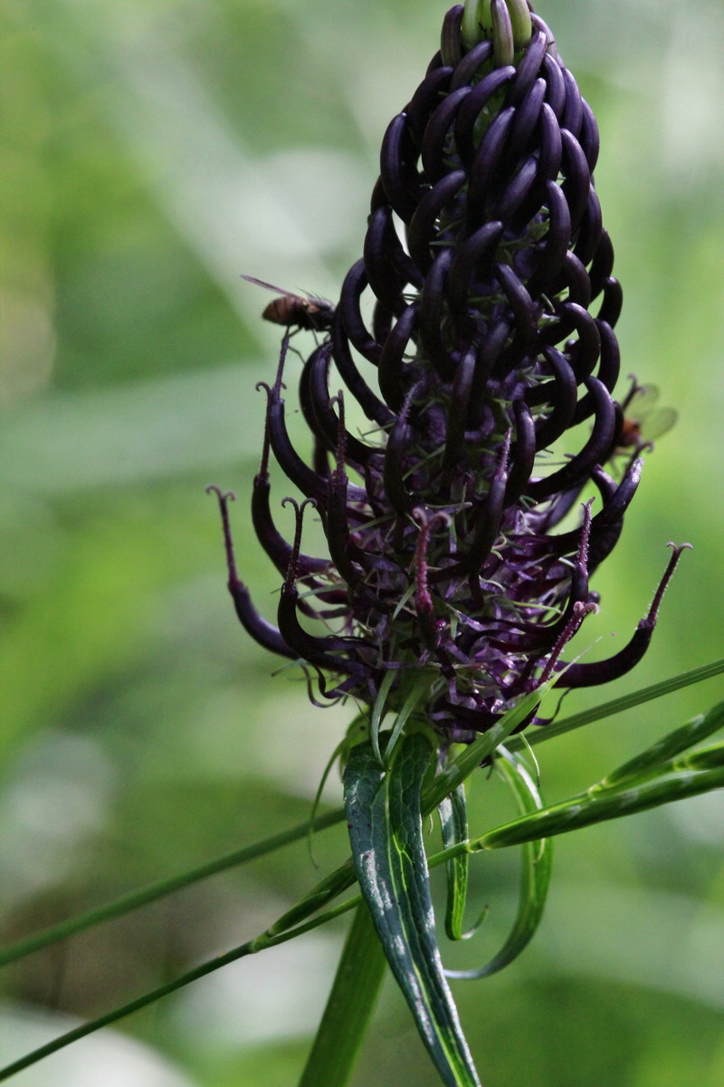 2014_07_25_00004654p_Bildgr��e �ndern