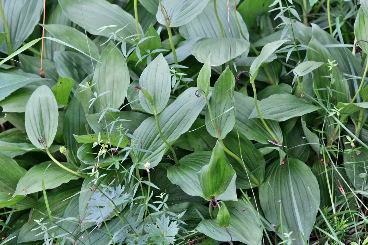 2014_07_25_00004659p_Bildgr��e �ndern