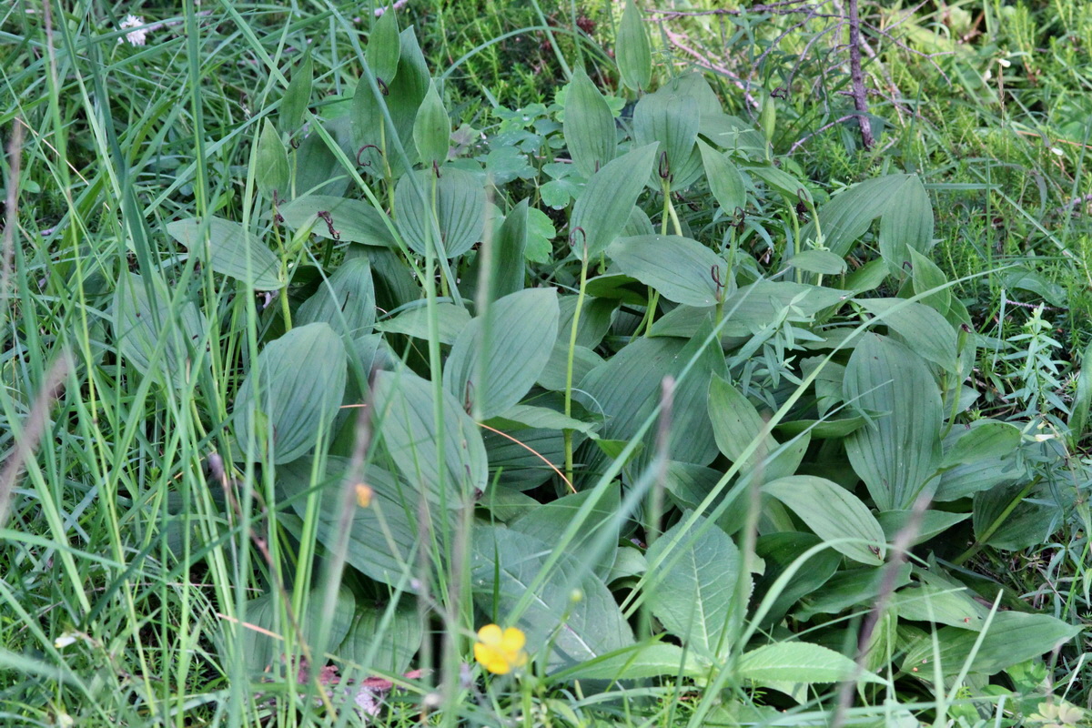 2014_07_25_00004662p_Bildgr��e �ndern