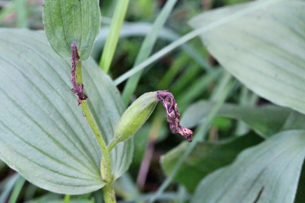 2014_07_25_00004663p_Bildgr��e �ndern