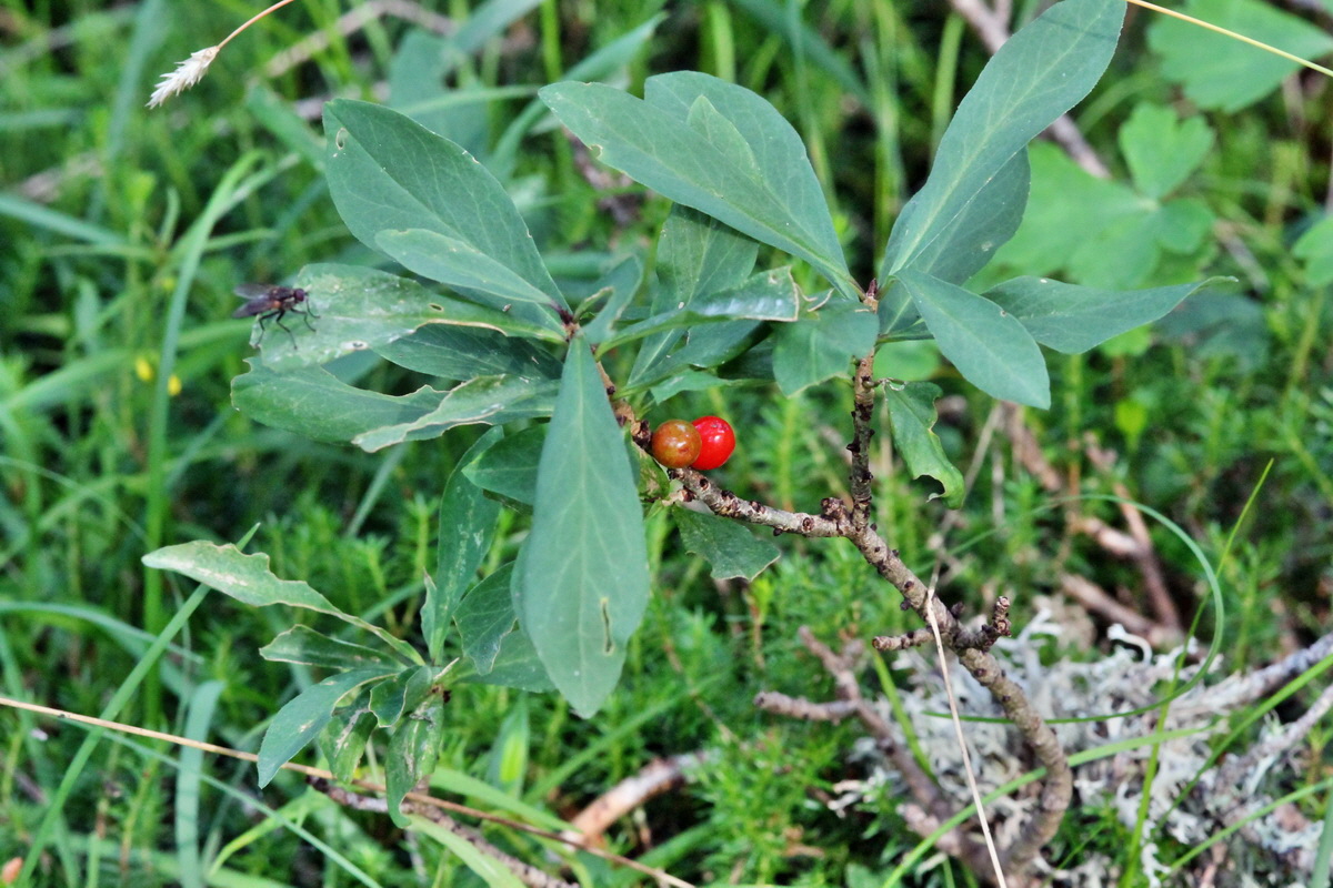 2014_07_25_00004668p_Bildgr��e �ndern