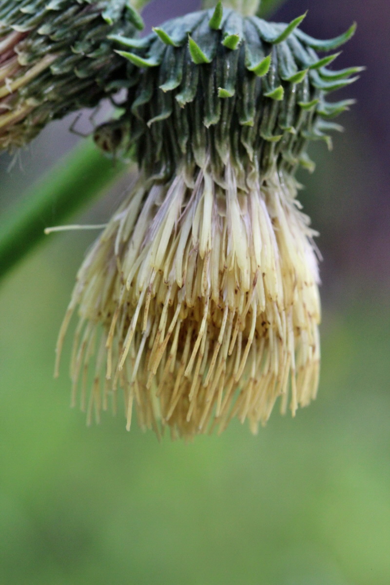 2014_07_25_00004671p_Bildgr��e �ndern