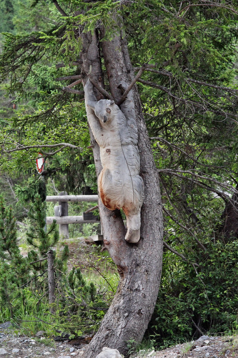 2014_07_25_00004448p_Bildgr��e �ndern