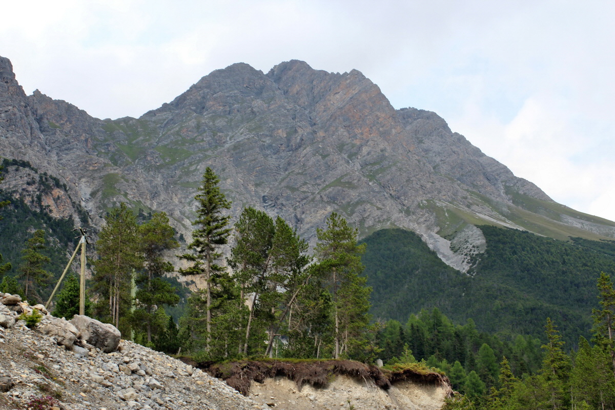 2014_07_25_00004535p_Bildgr��e �ndern