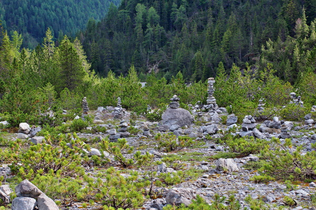 2014_07_25_00004548p_Bildgr��e �ndern