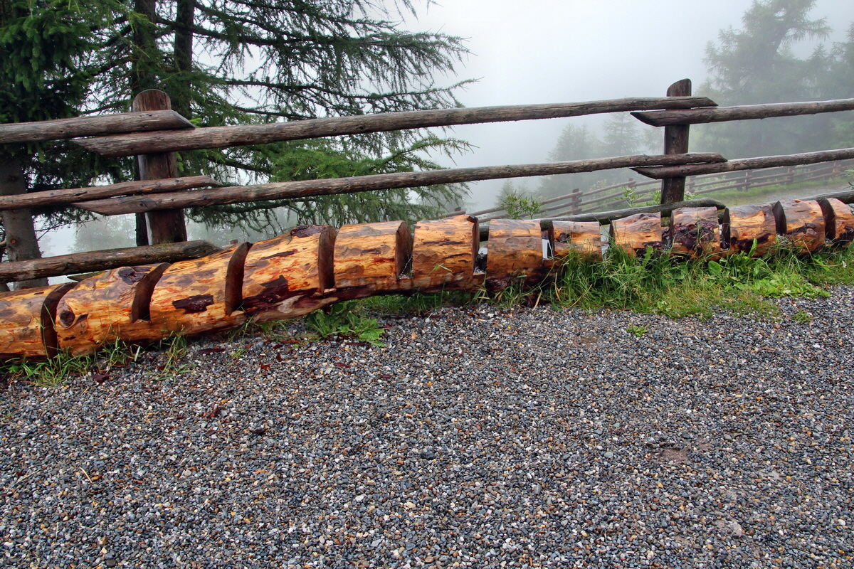 2014_07_26_00004680p_Bildgr��e �ndern