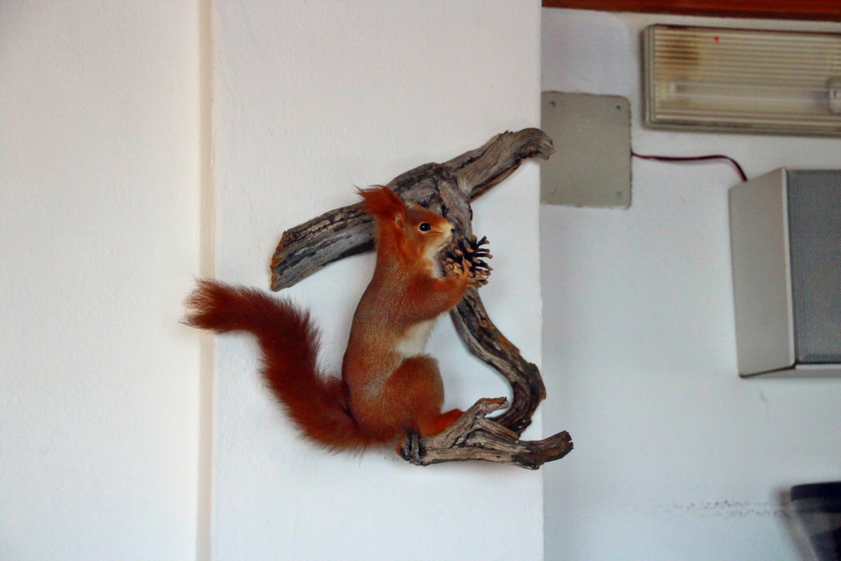 2014_07_26_00004686p_Bildgr��e �ndern