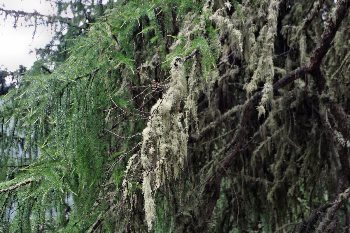 2014_07_26_00004689p_Bildgr��e �ndern