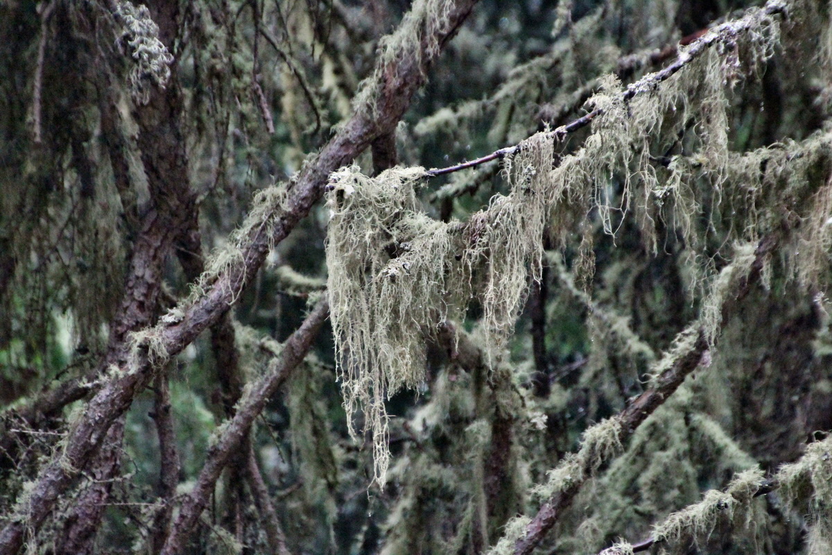 2014_07_26_00004690p_Bildgr��e �ndern