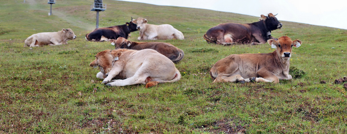 [Group 10]-2014_07_27_00004863_2014_07_27_00004864-2 imagesp_Bildgr��e �ndern