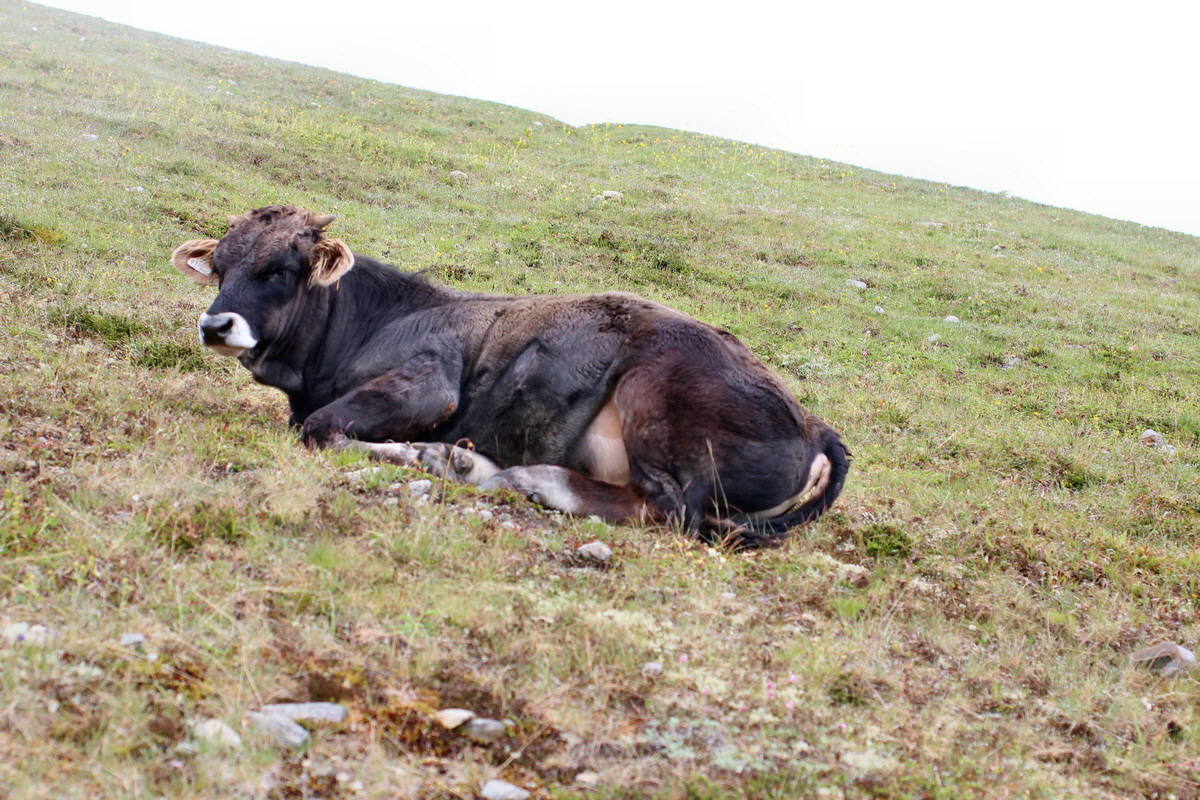 2014_07_27_00004857p_Bildgr��e �ndern