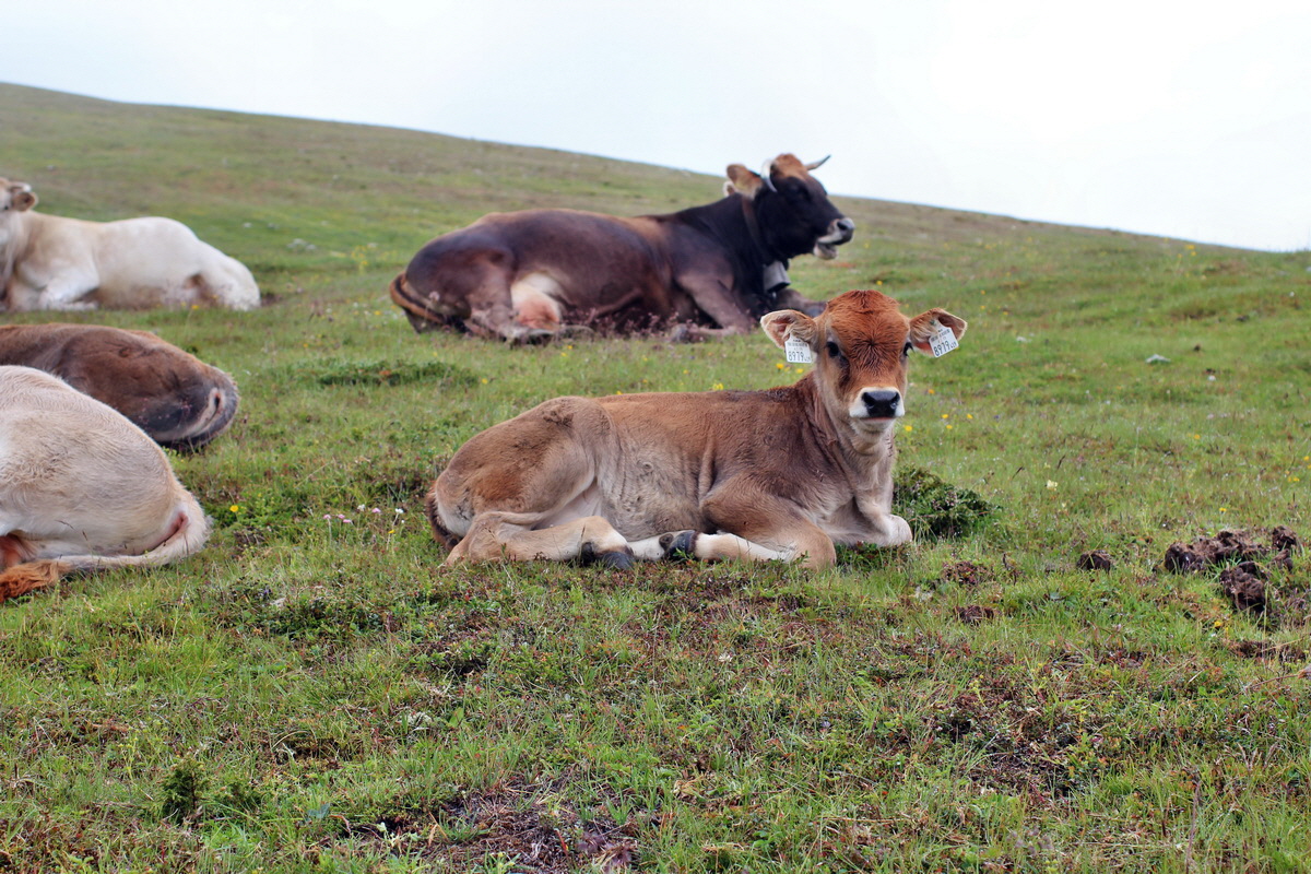 2014_07_27_00004862p_Bildgr��e �ndern