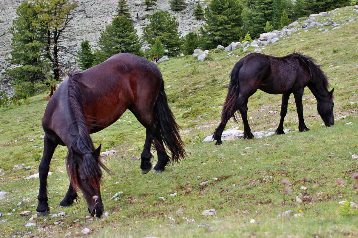 2014_07_27_00004879p_Bildgr��e �ndern