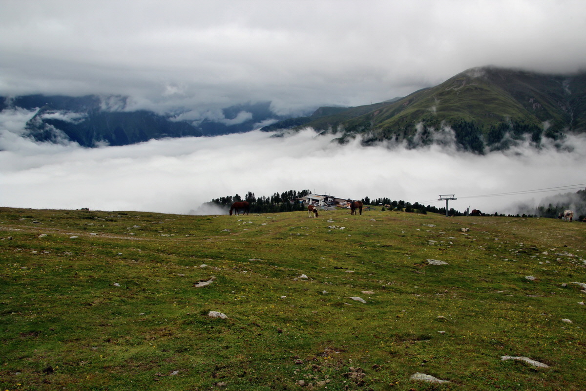 2014_07_27_00004930p_Bildgr��e �ndern