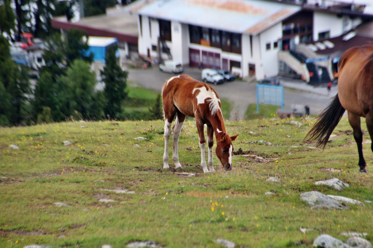 2014_07_27_00004933p_Bildgr��e �ndern