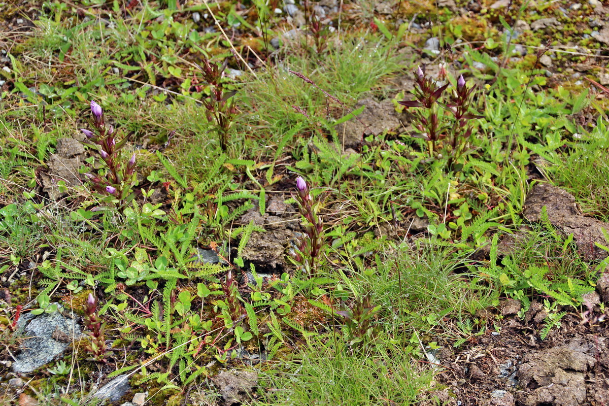 2014_07_27_00004763p_Bildgr��e �ndern