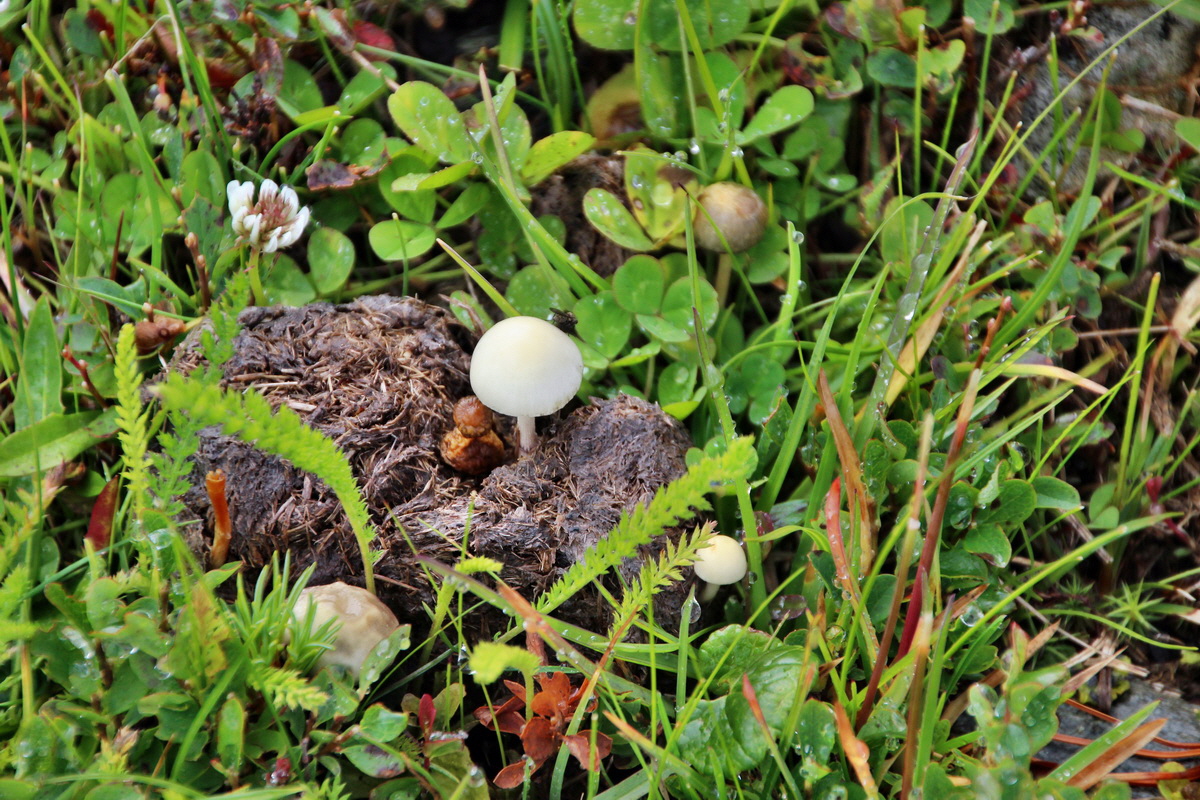 2014_07_27_00004766p_Bildgr��e �ndern